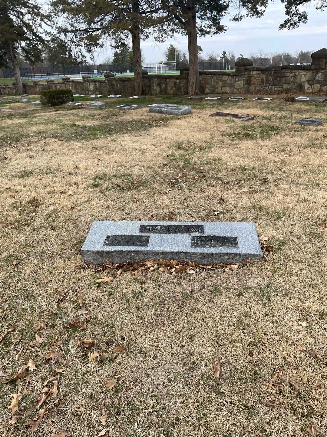 Elmer George Jackson's grave. Photo 2