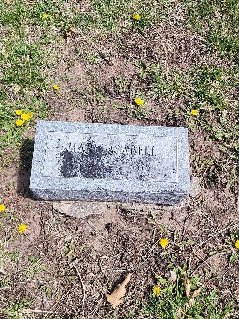 Mary A. Abell's grave. Photo 3