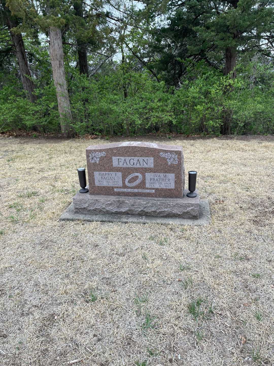 Harry Francis Fagan's grave. Photo 2