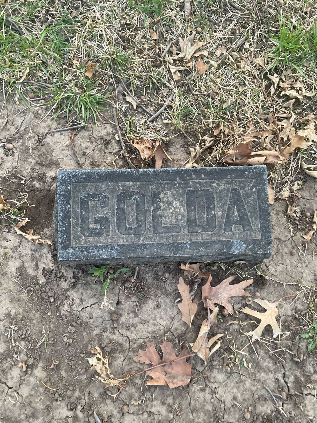 Golda Lucile Rader McDaniel's grave. Photo 3