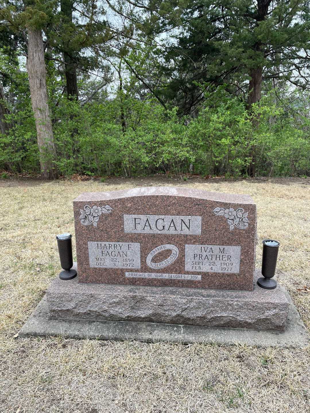 Harry Francis Fagan's grave. Photo 1