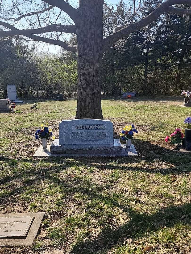 Ronald Dean Habluetzel's grave. Photo 2