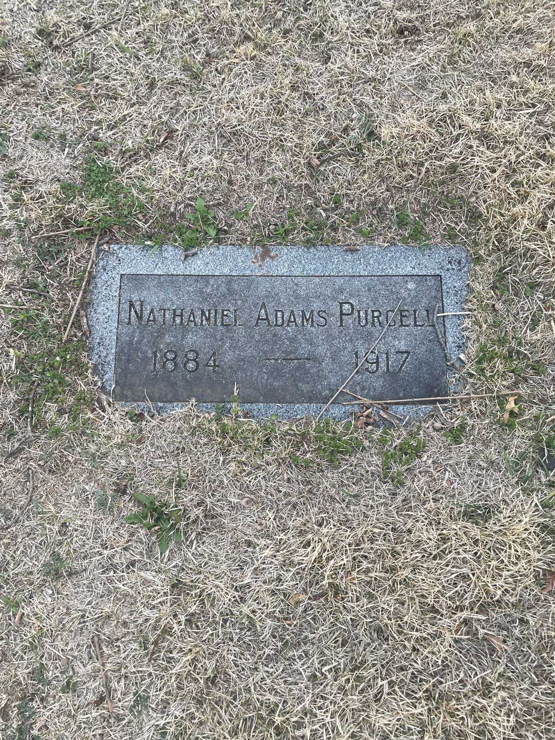 Nathaniel Adams Purcell's grave. Photo 3