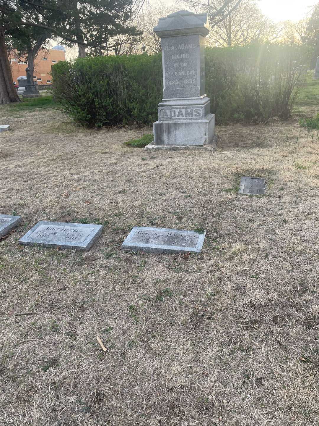 Genevieve H. Purcell's grave. Photo 2