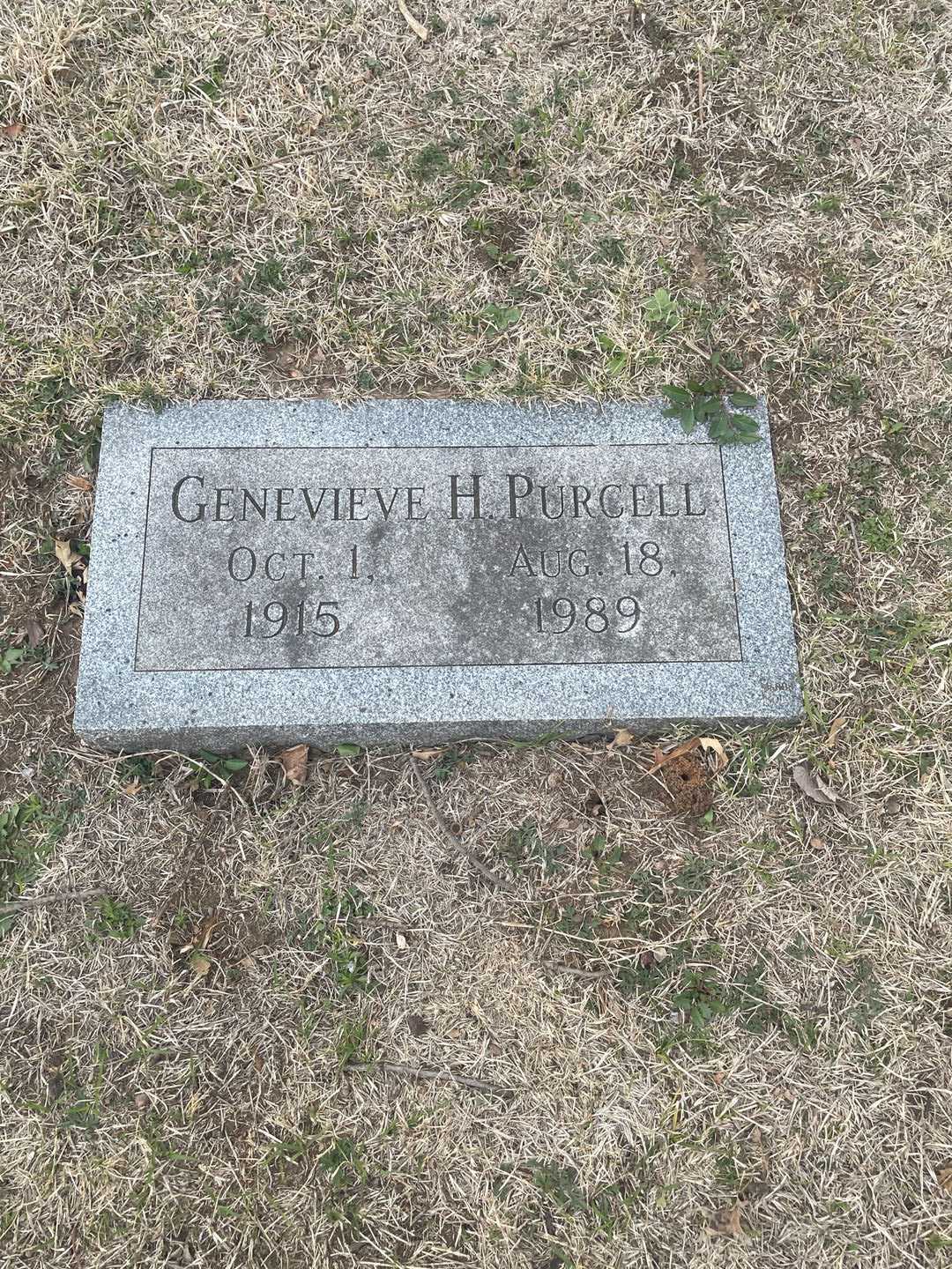 Genevieve H. Purcell's grave. Photo 3