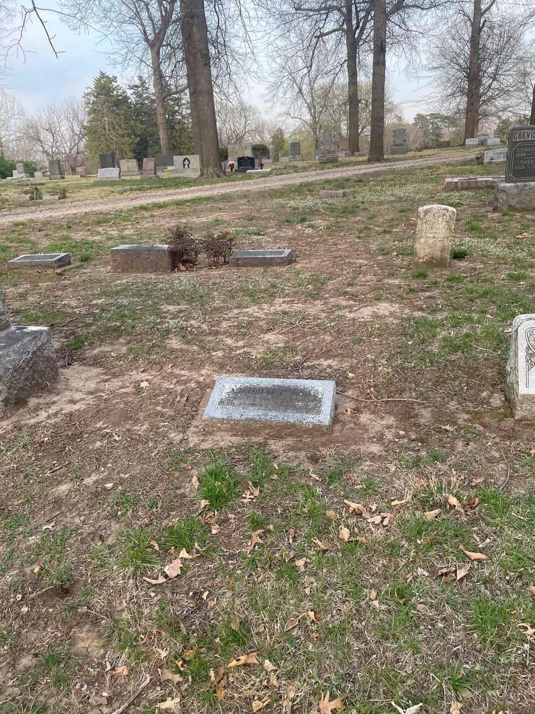 Mildred E. Vail's grave. Photo 2
