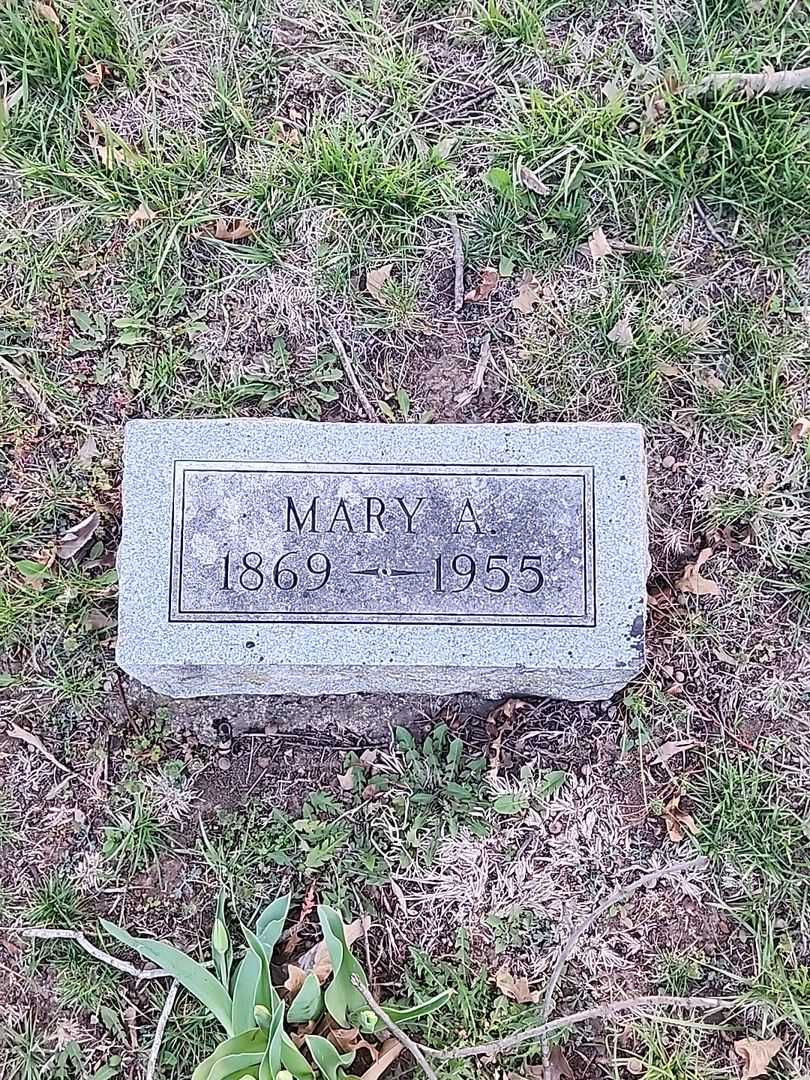 Dorcas E. Zeigler's grave. Photo 1