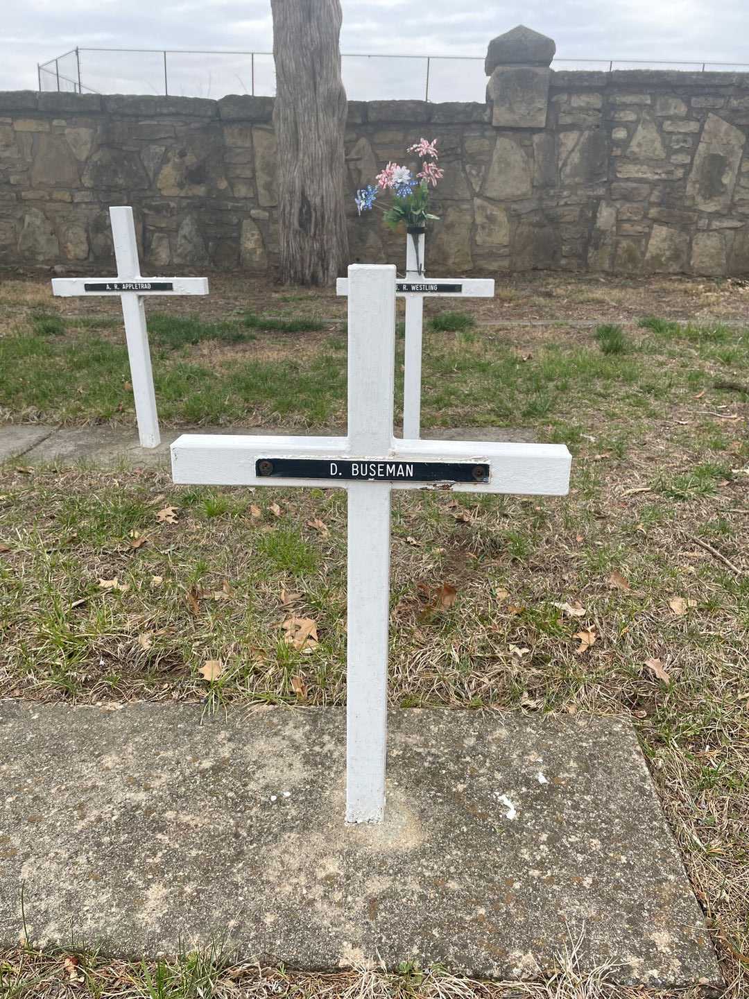 D. Buseman's grave. Photo 3