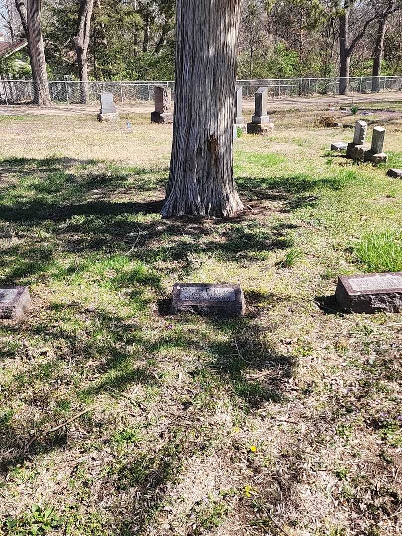 Hattie B. Tobias's grave. Photo 2