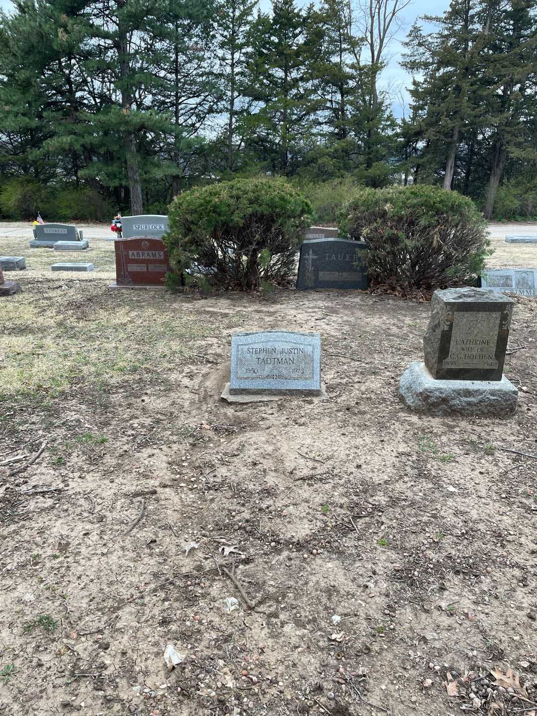 Stephen Justin Tadtman's grave. Photo 2