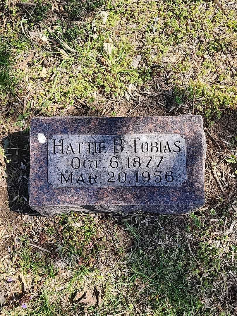 Hattie B. Tobias's grave. Photo 3
