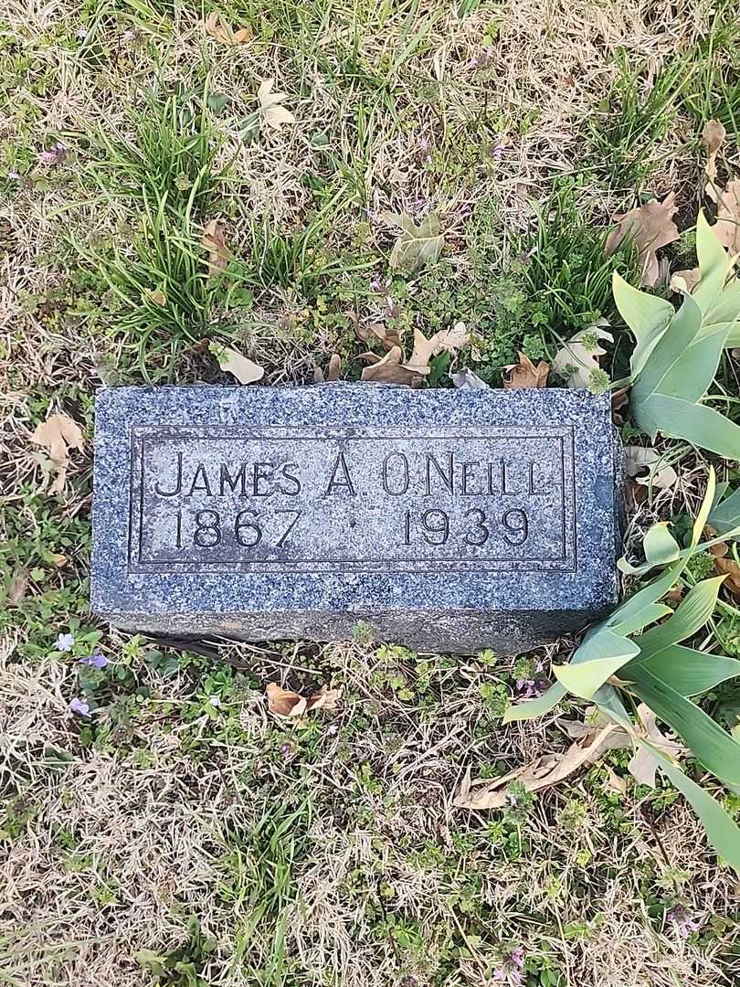 James A. O'Neill's grave. Photo 3