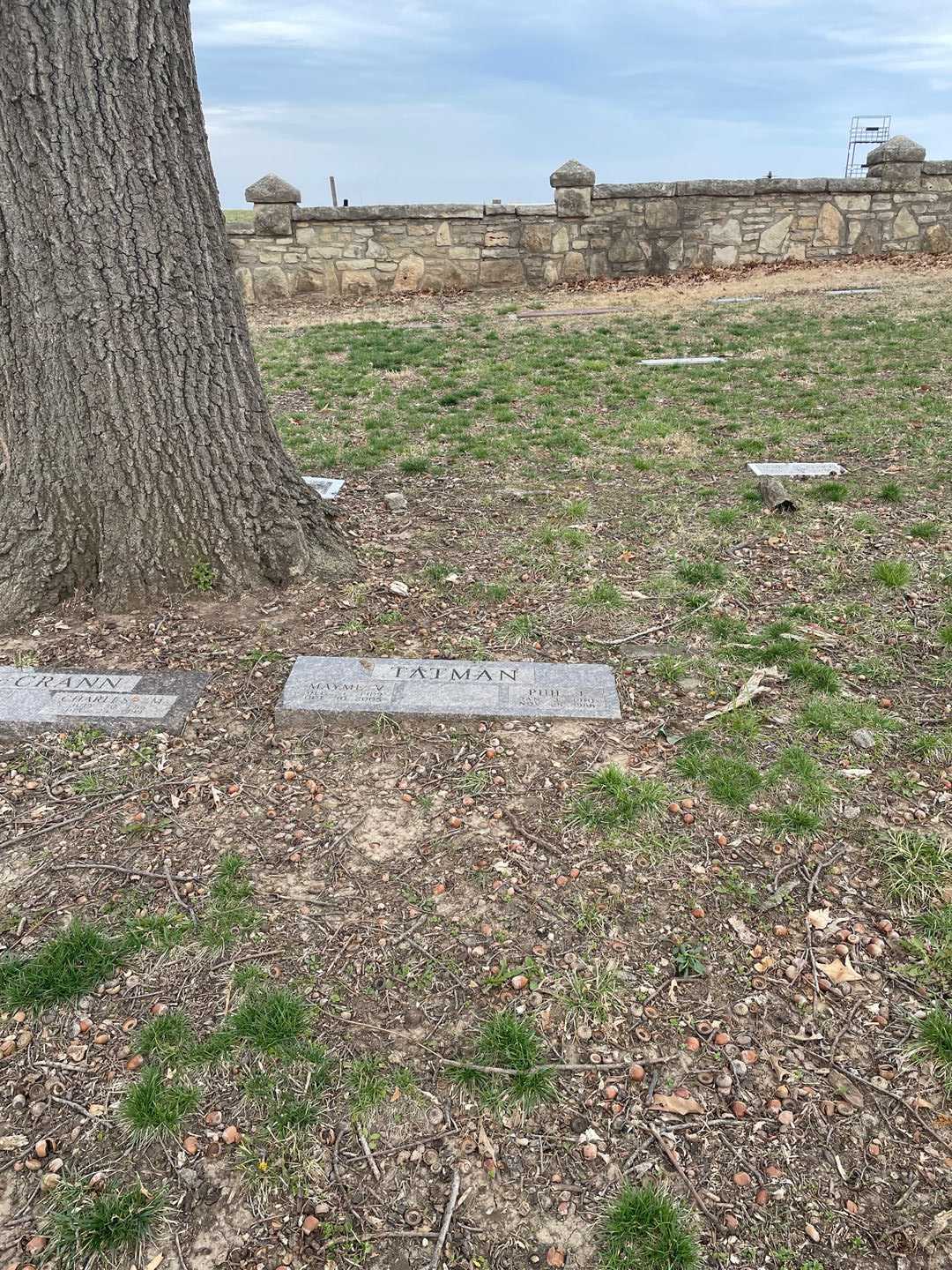 Mayme Veneta Tatman's grave. Photo 2