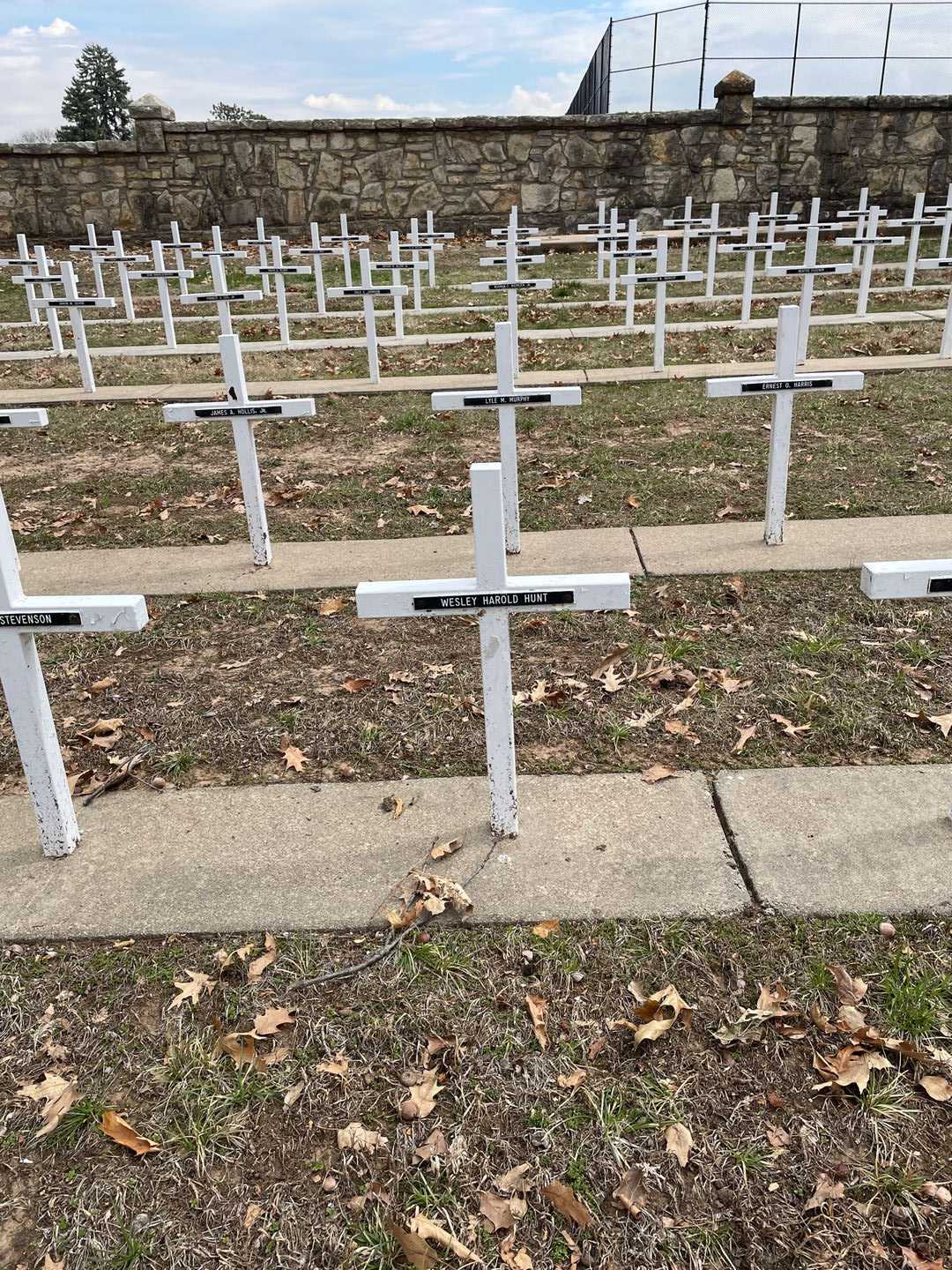 Wesley Harold Hunt's grave. Photo 2