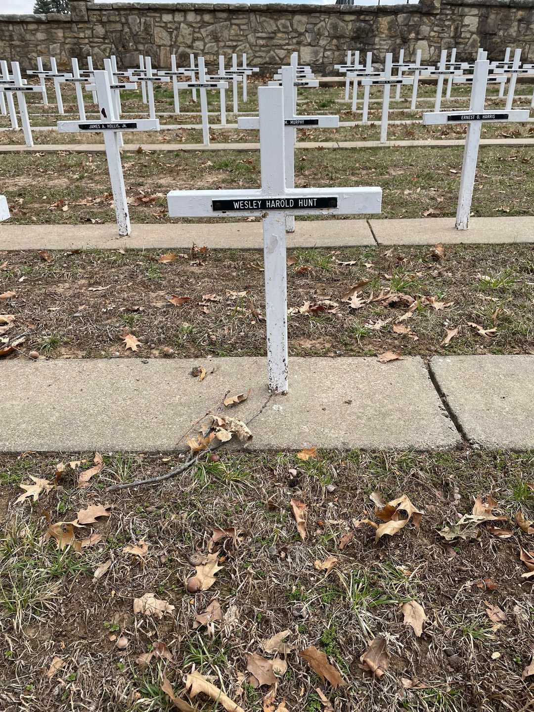 Wesley Harold Hunt's grave. Photo 3