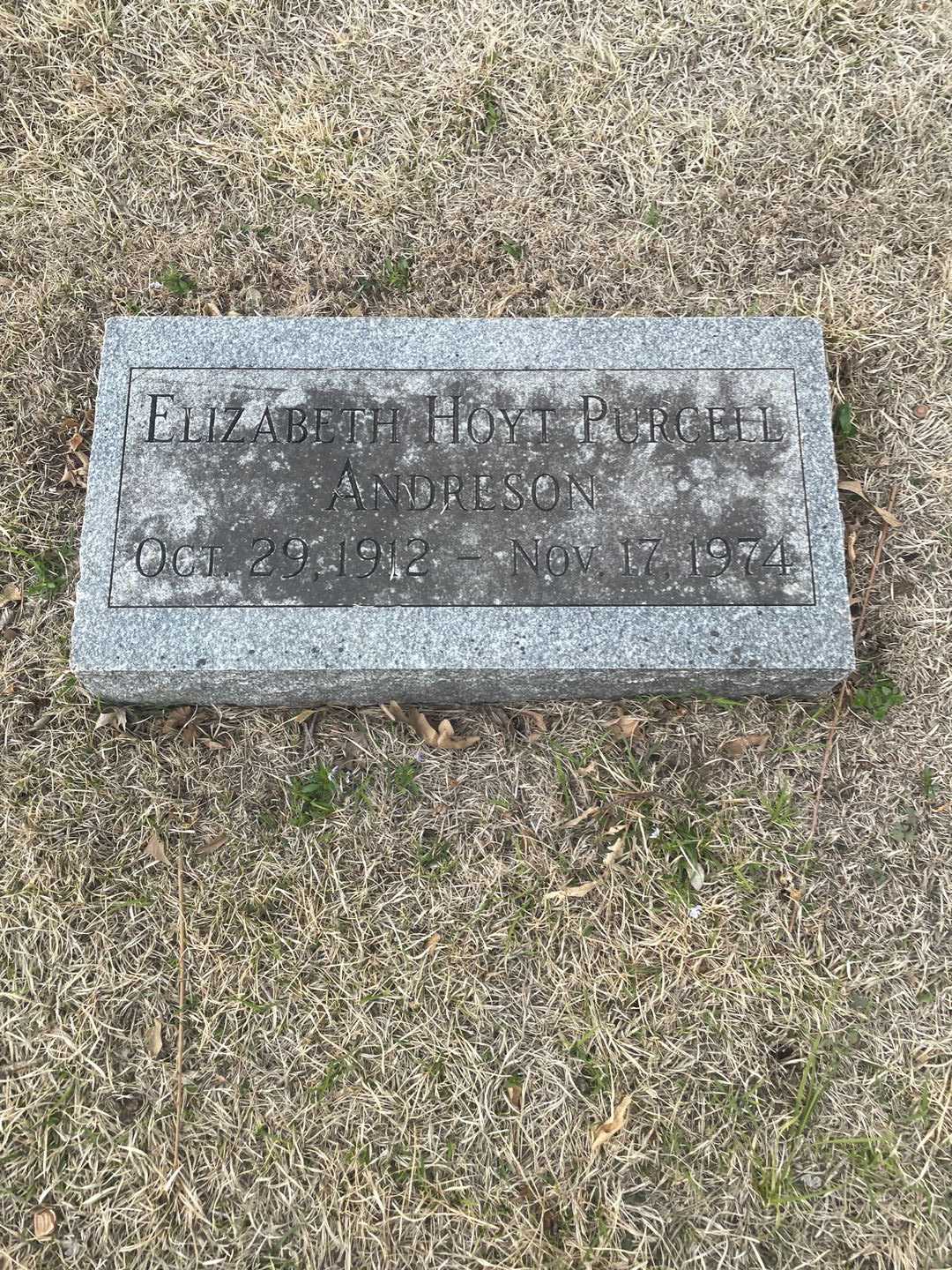 Elizabeth Hoyt Purcell Andreson's grave. Photo 3