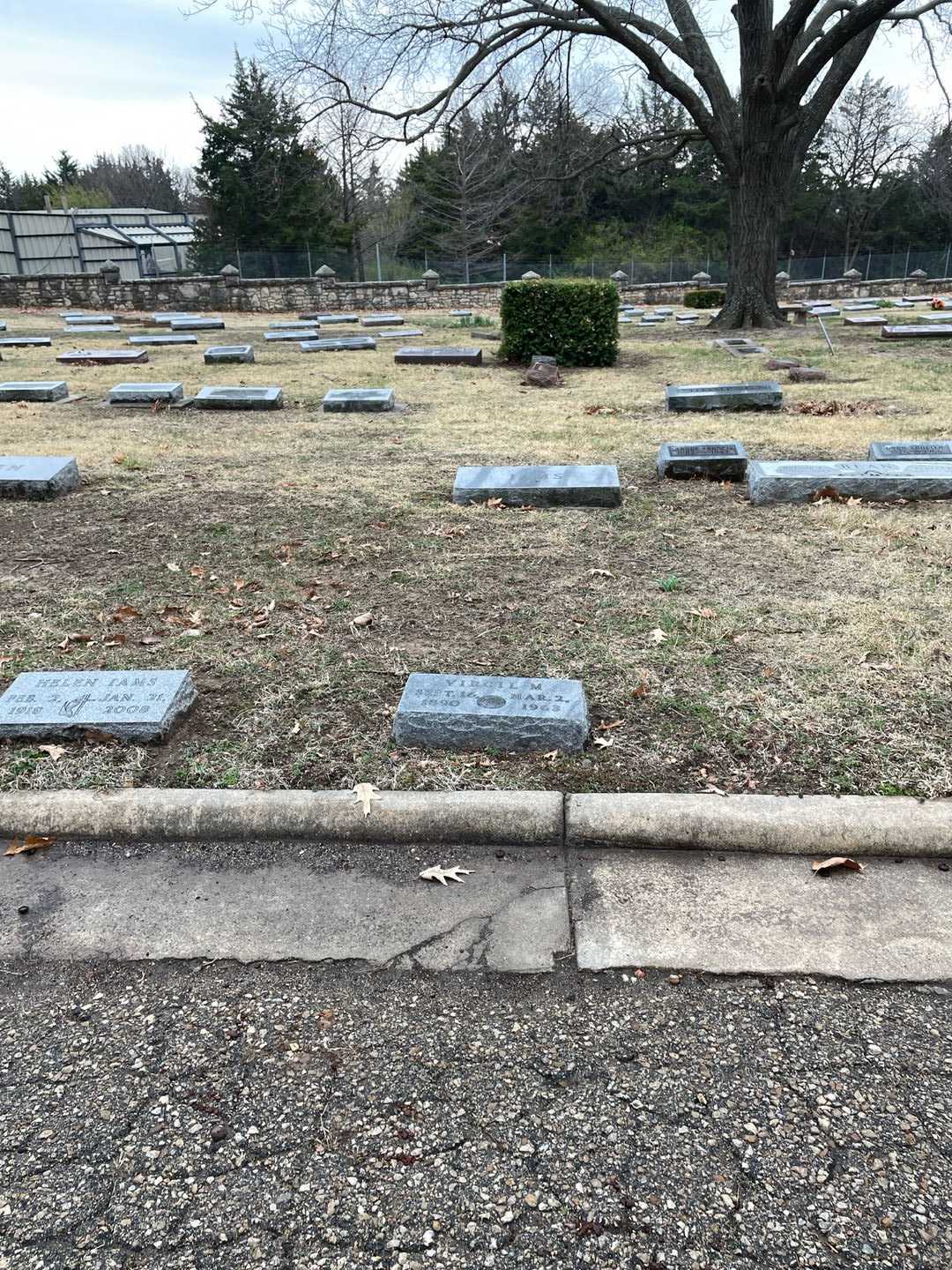 Virgil M. Iams's grave. Photo 2