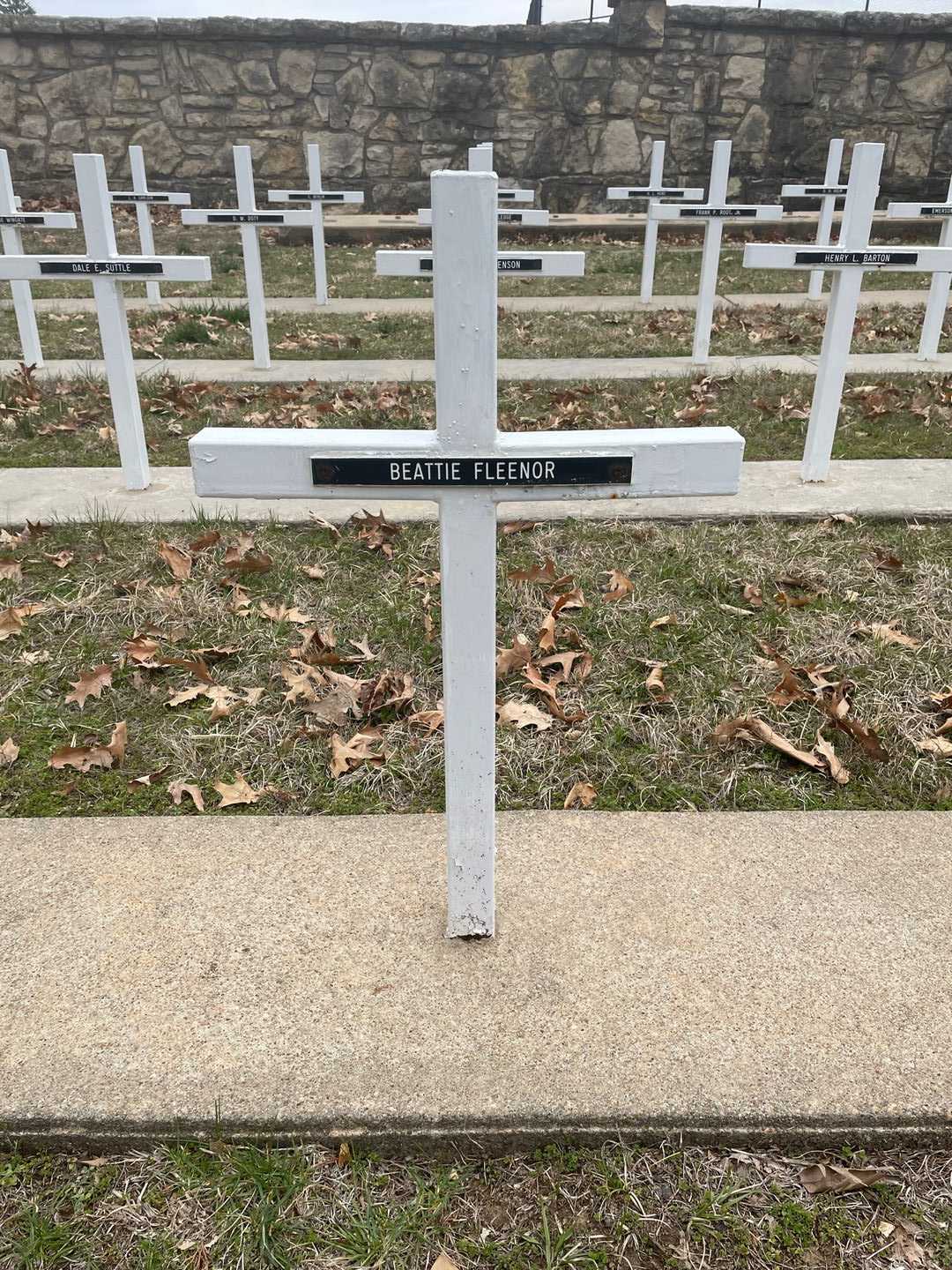 Beattie Fleenor's grave. Photo 3
