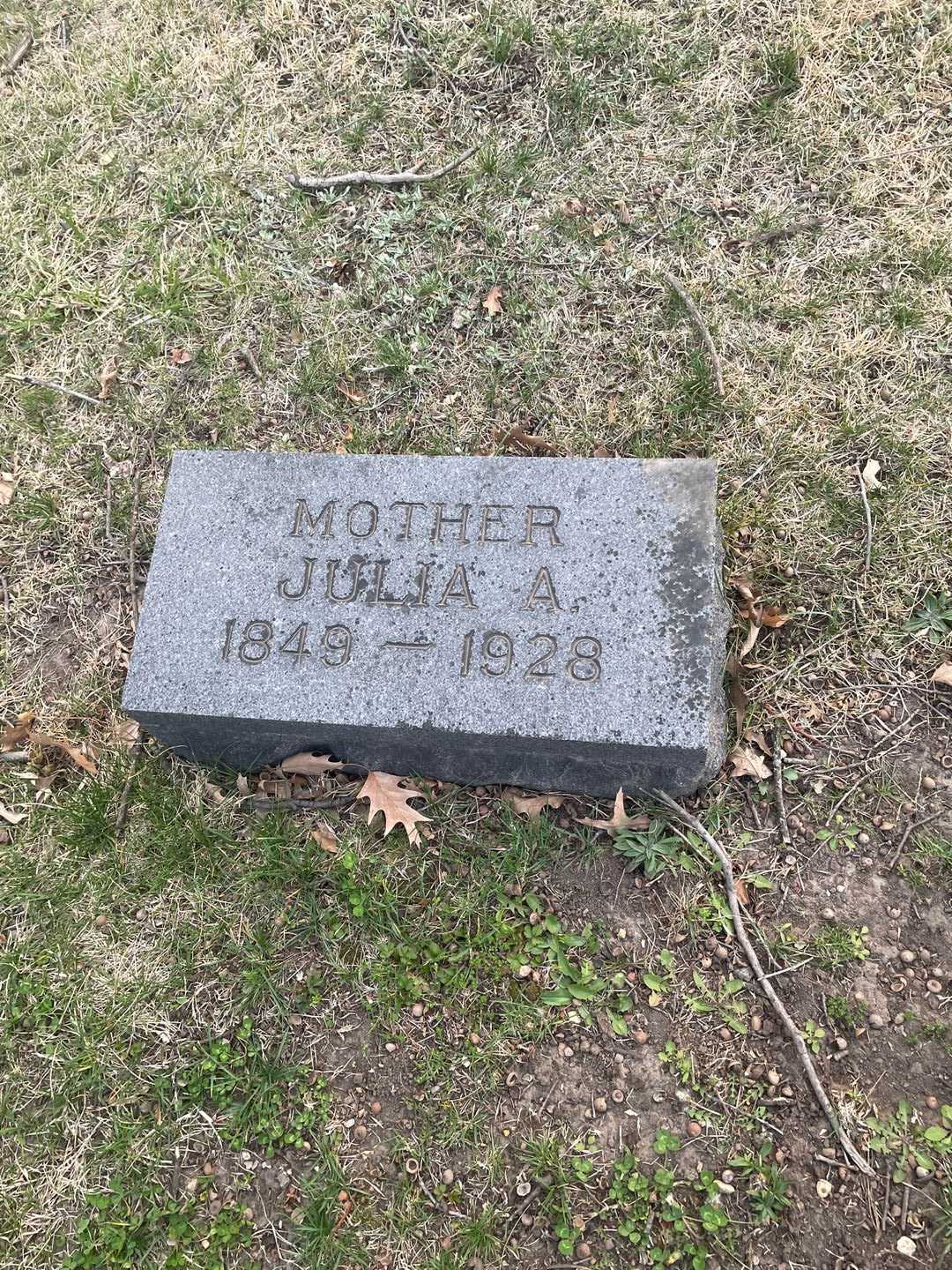 Julia A. Paddock's grave. Photo 3