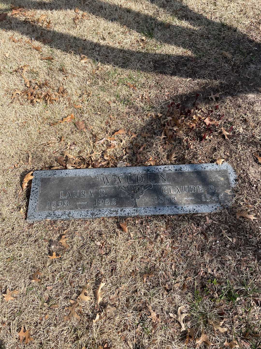 Ida Mae Earle's grave. Photo 1