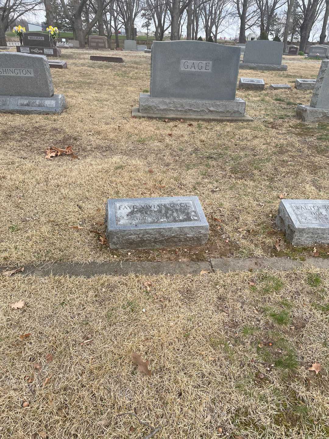 Faye Vivian Gage's grave. Photo 2