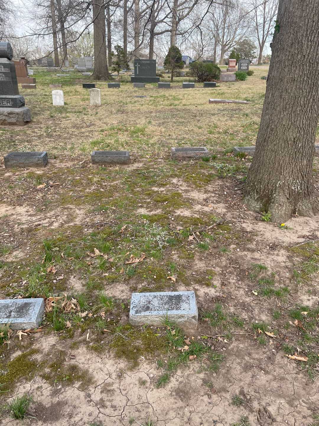 James Elden Carroll's grave. Photo 2