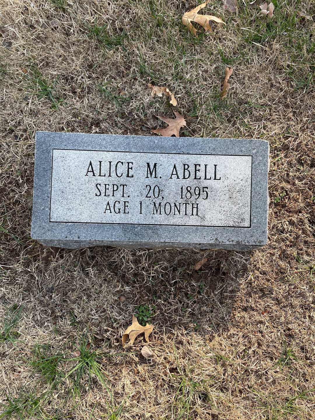 Alice M. Abell's grave. Photo 1