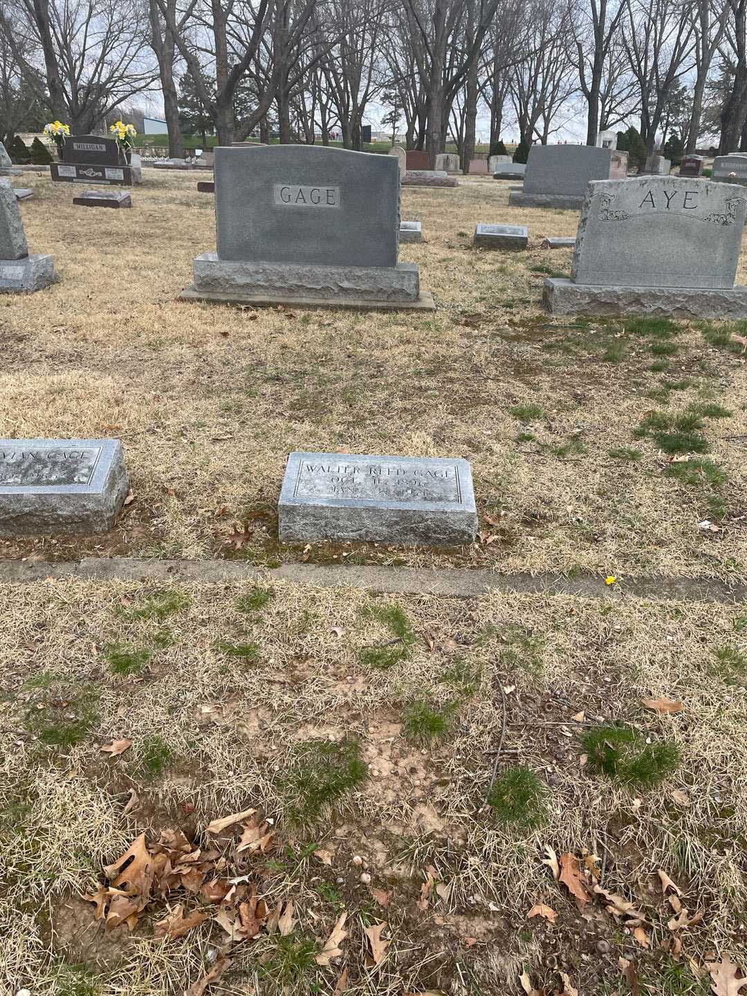 Walter Reed Gage Senior's grave. Photo 2