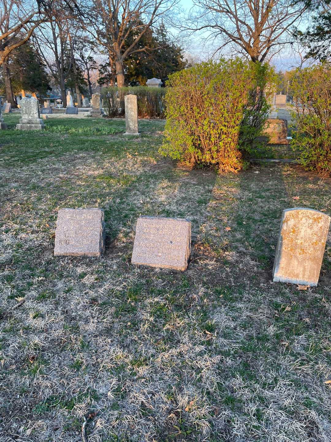 Charles H. MacAuley's grave. Photo 2
