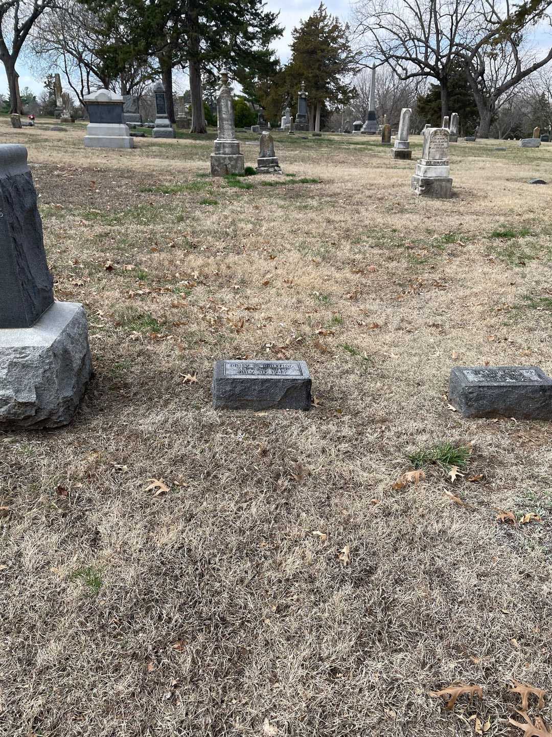 Missus/Madam Daisy M. Wolffing's grave. Photo 2