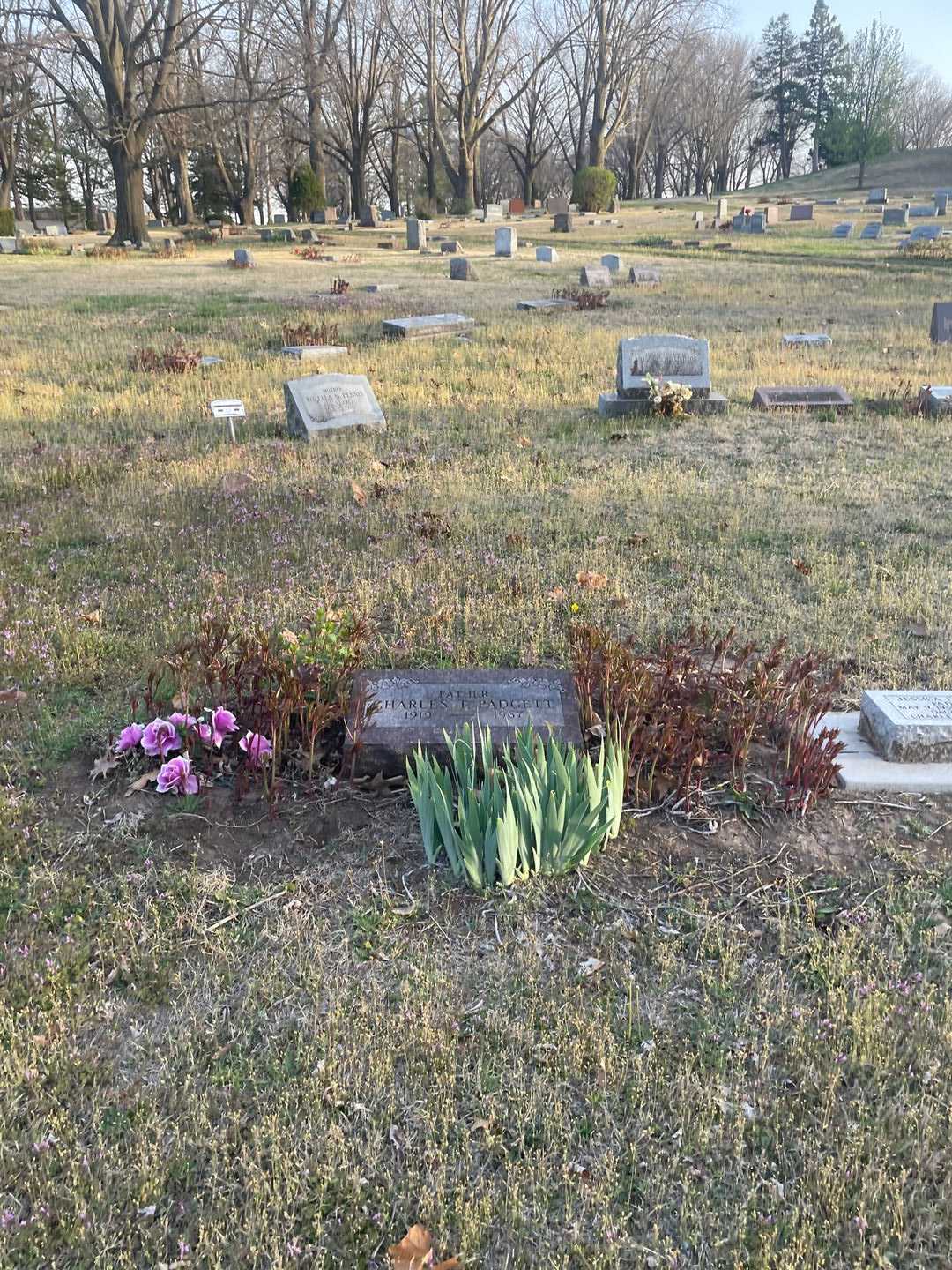 Charles T. Padgett's grave. Photo 2