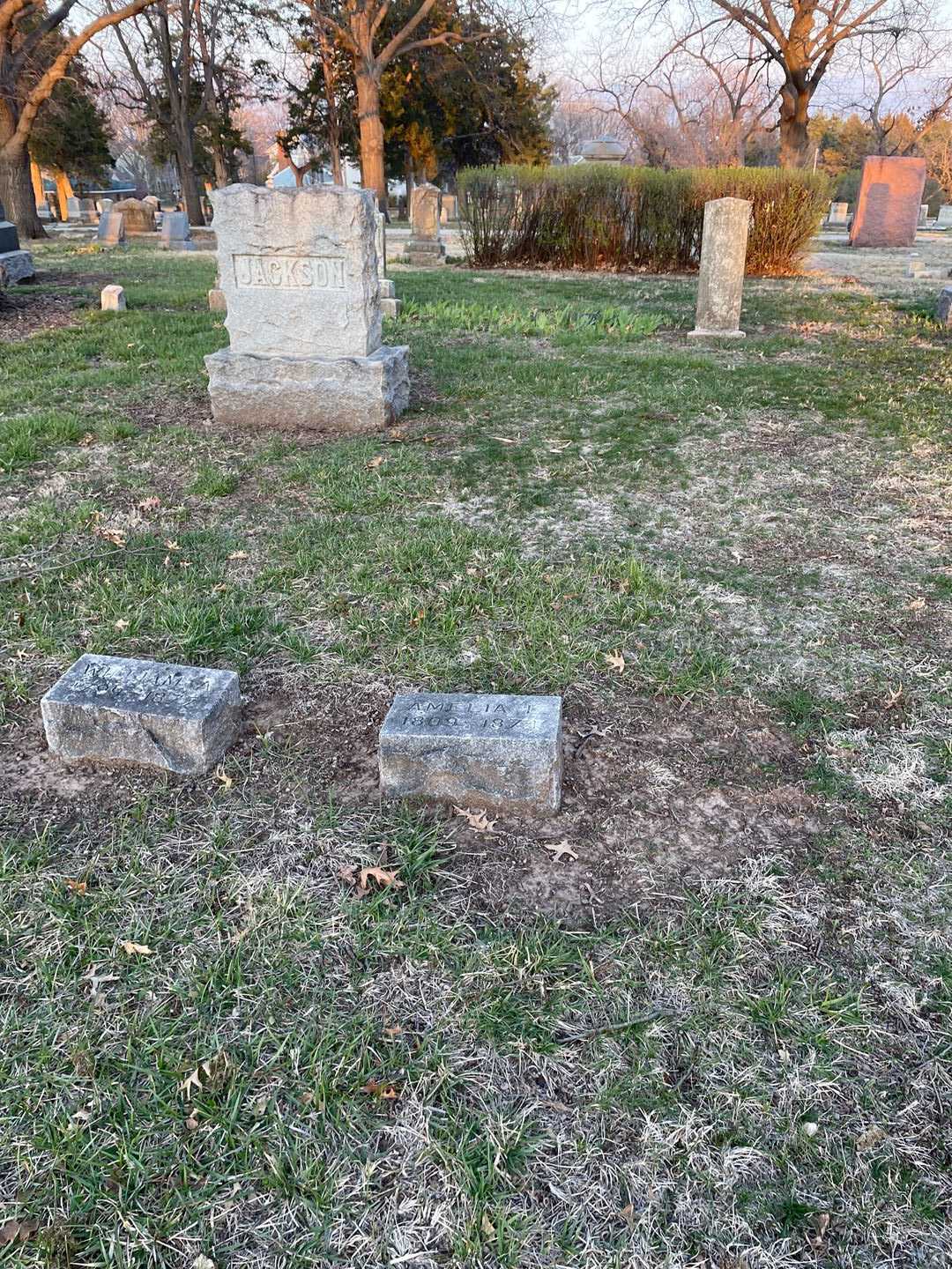 Amelia L. Jackson's grave. Photo 2