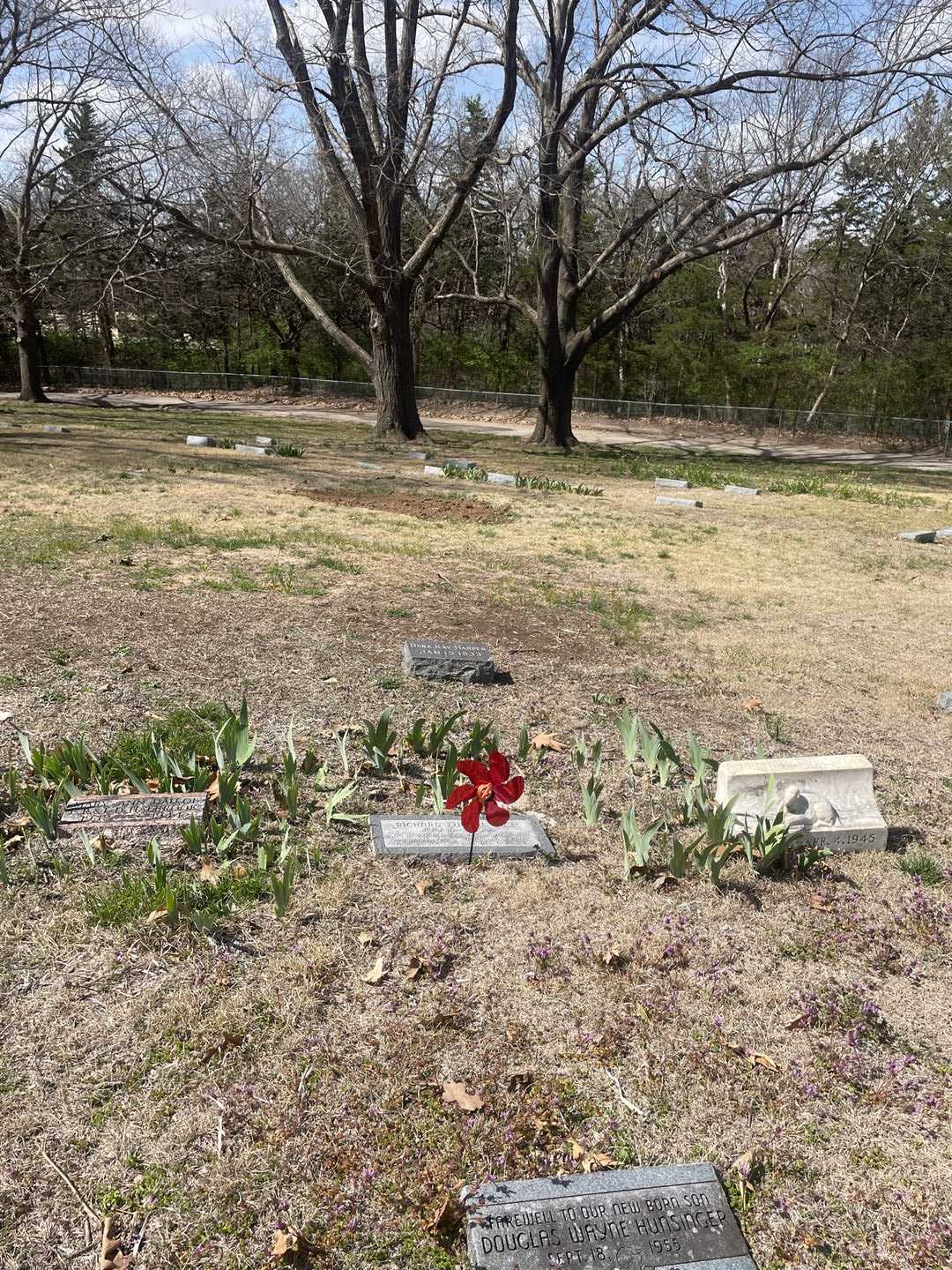 Richard Eugene Ince's grave. Photo 2