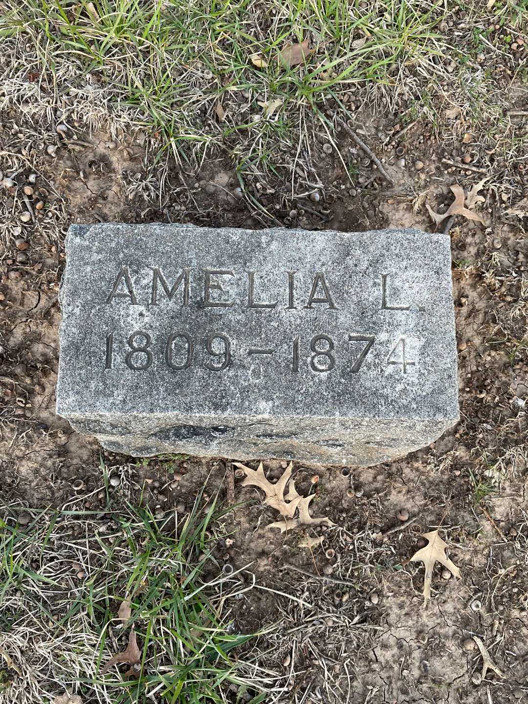 Amelia L. Jackson's grave. Photo 3