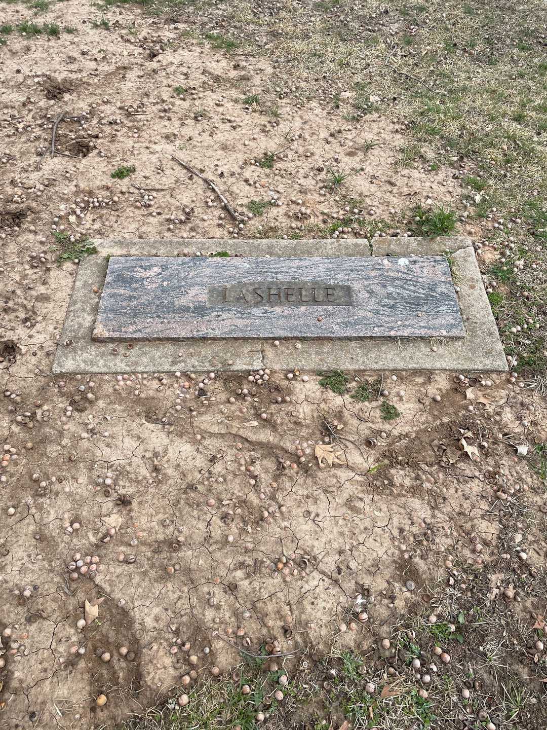 Maud Susie LaShelle's grave. Photo 1