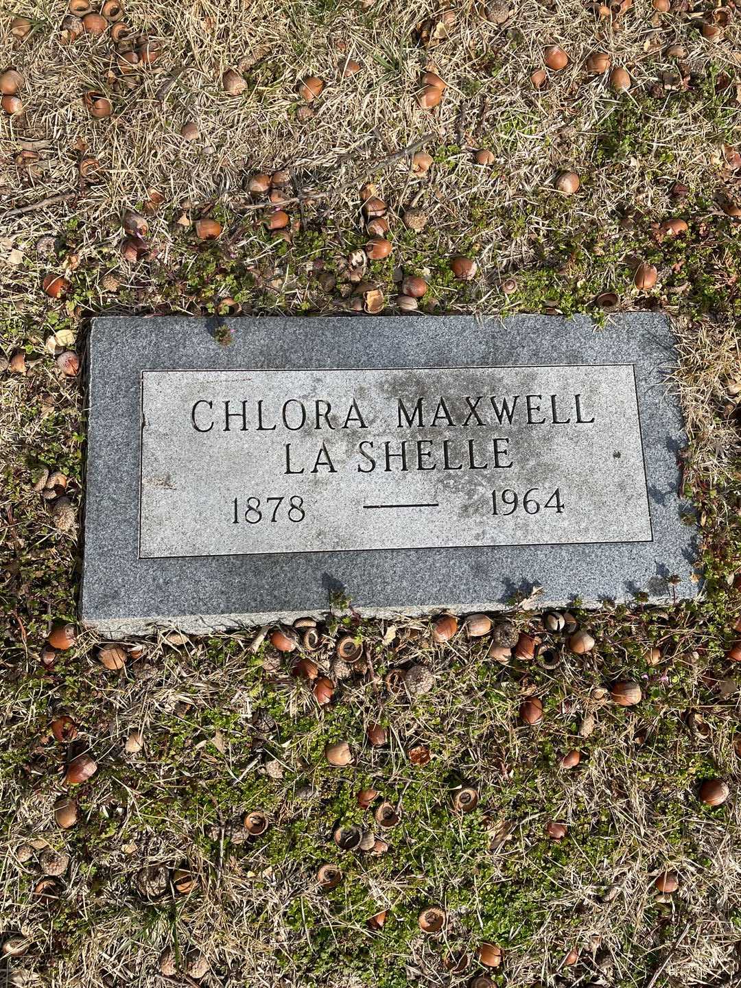 Chlora Maxwell LaShelle's grave. Photo 3