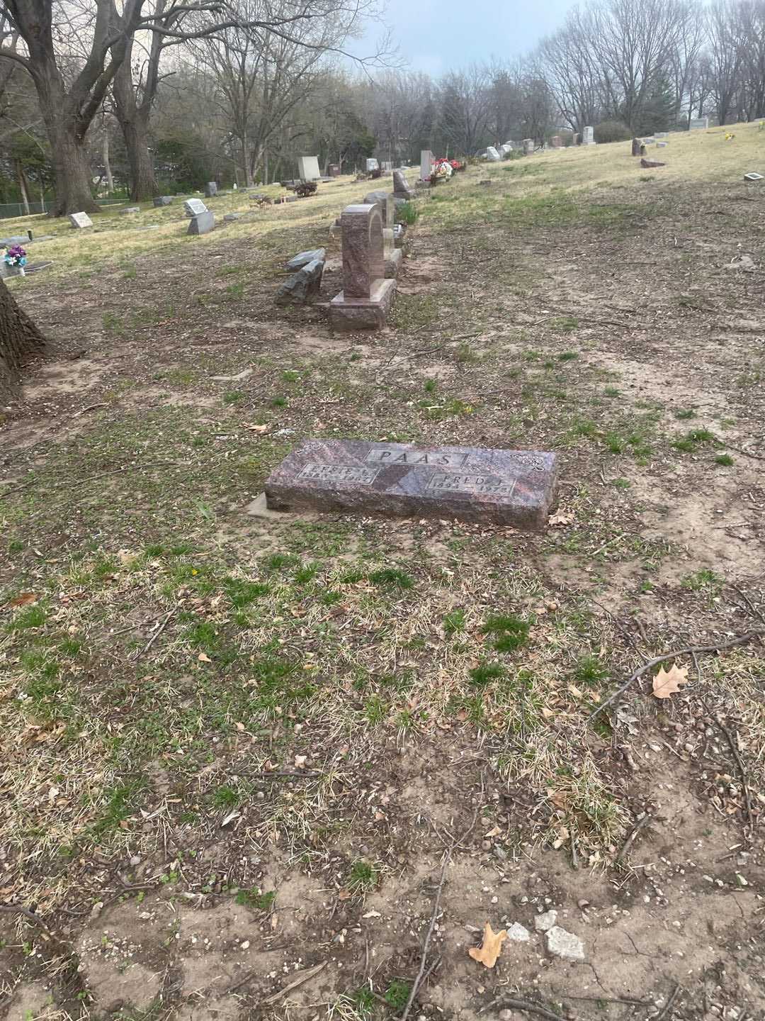 Fred J. Paas's grave. Photo 2