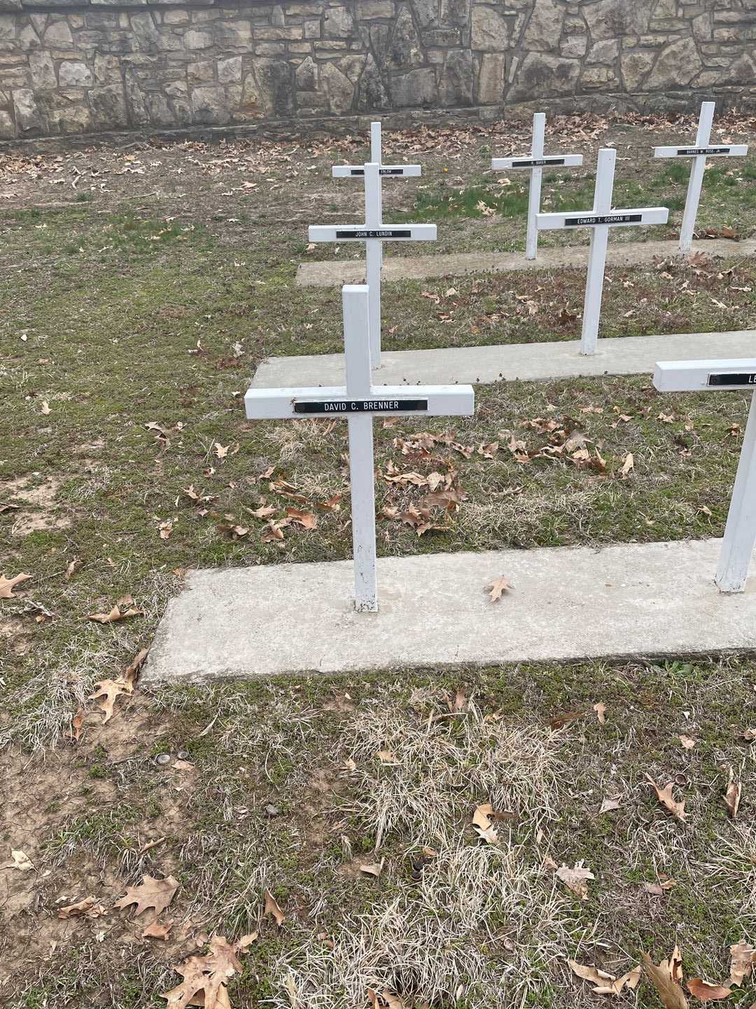 David C. Brenner's grave. Photo 2