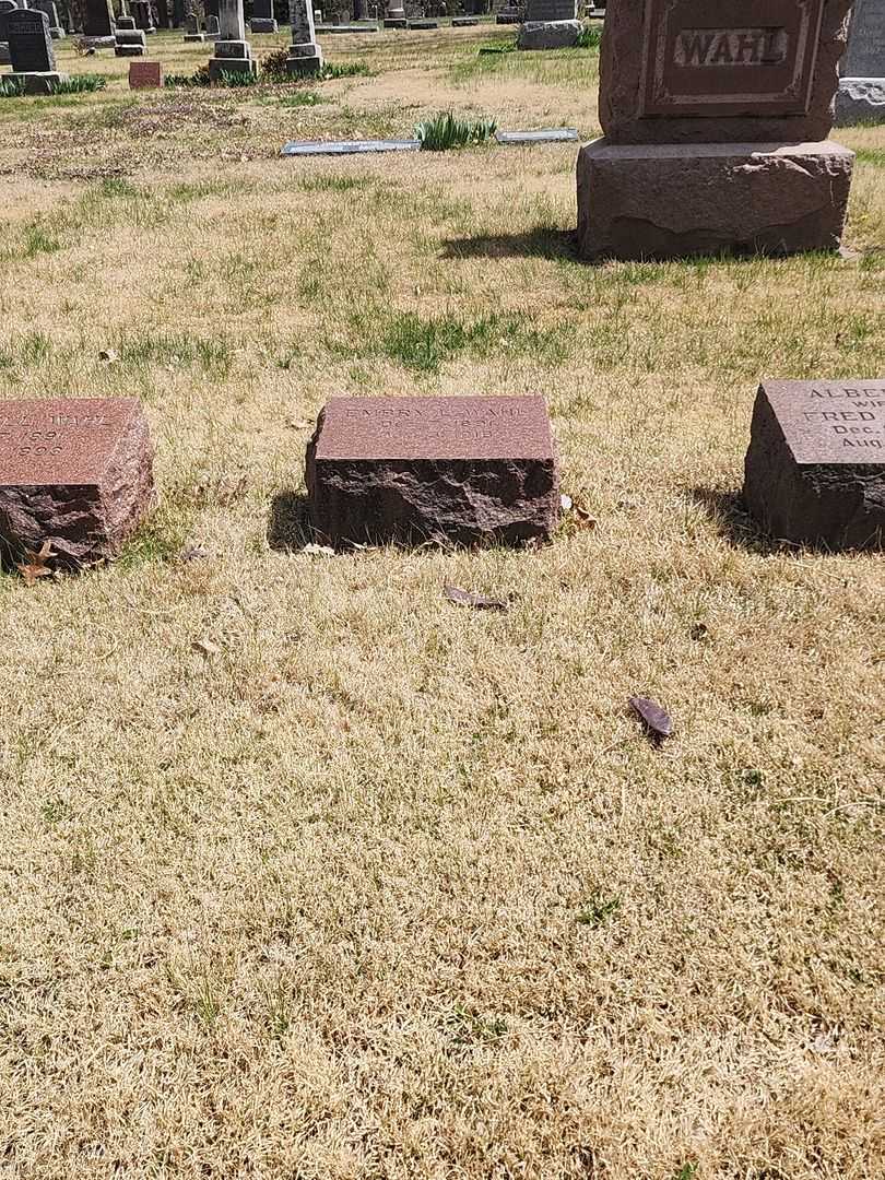 Embry L. Wahl's grave. Photo 2