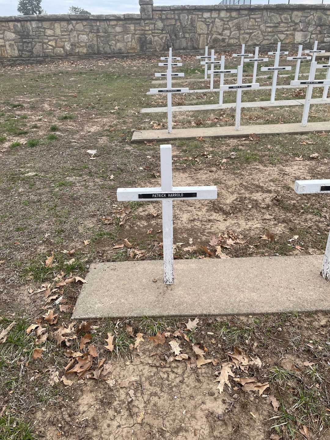 Patrick Harrold's grave. Photo 2