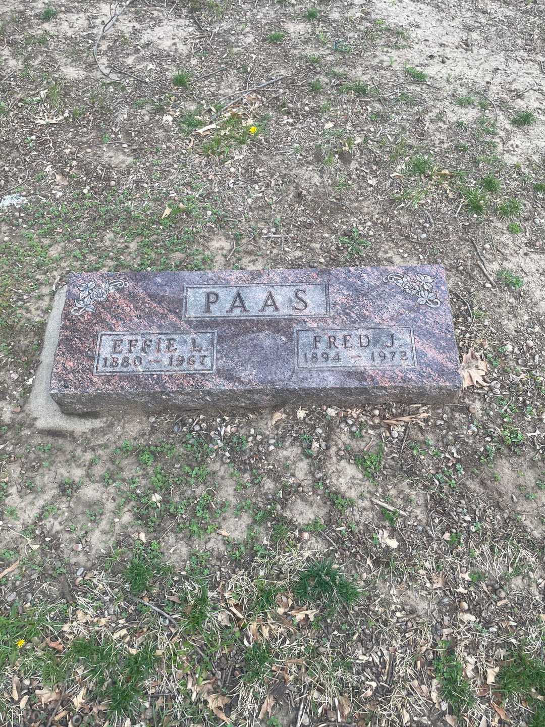 Fred J. Paas's grave. Photo 1