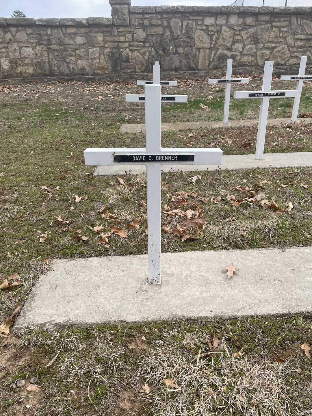 David C. Brenner's grave. Photo 3