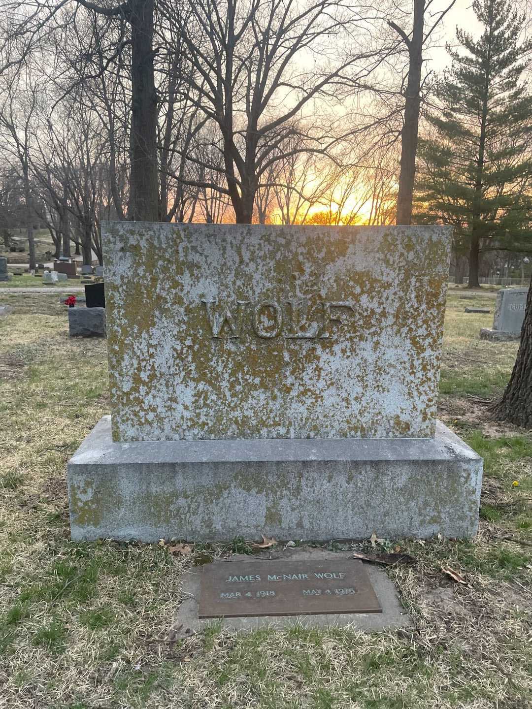 Nelle LaRue Wolf's grave. Photo 1