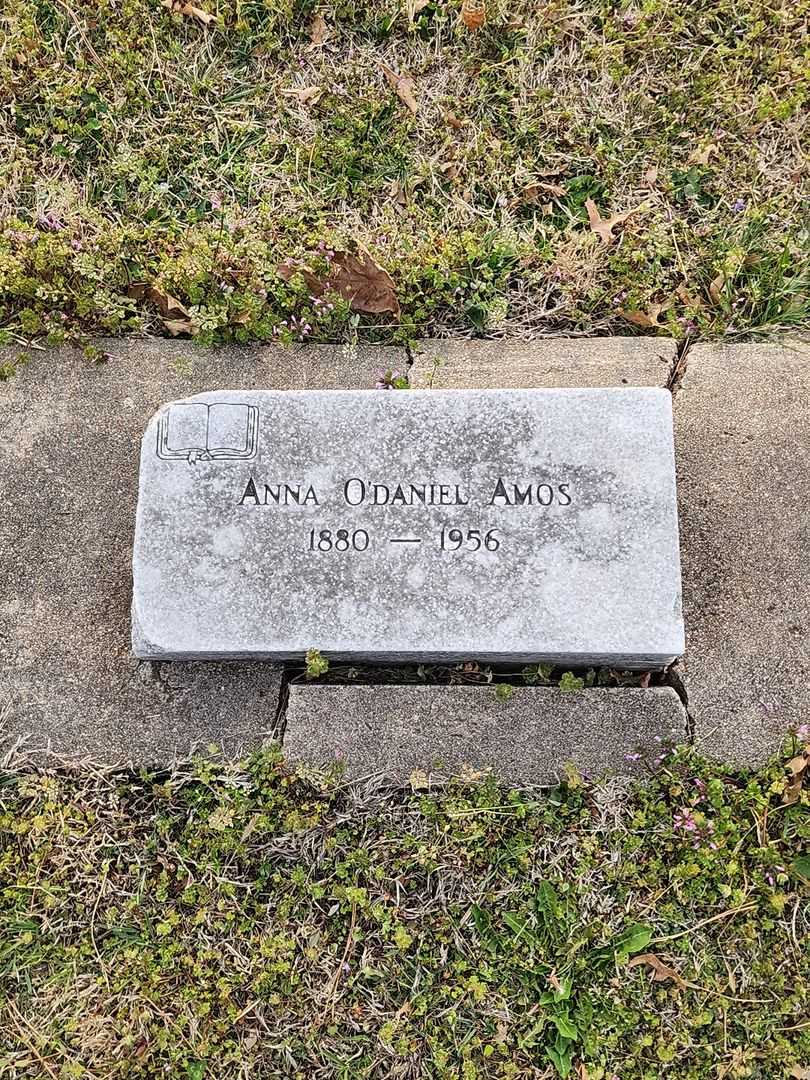 Anna L. O'Daniel Amos's grave. Photo 3