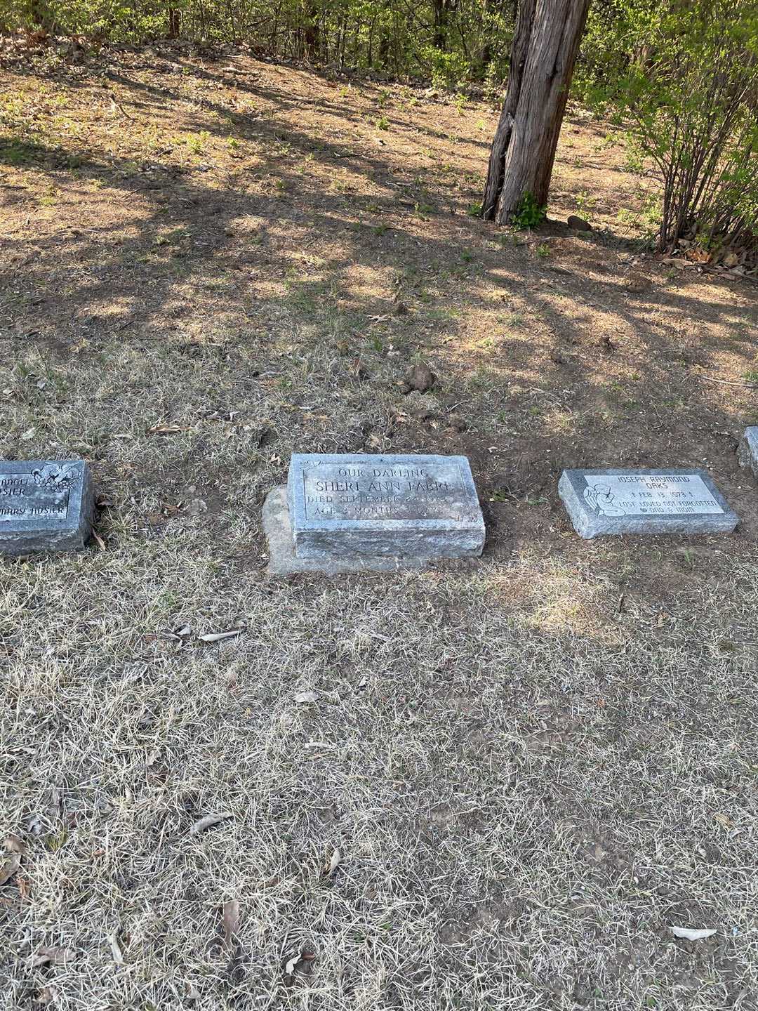 Sheri Ann Fabre's grave. Photo 2