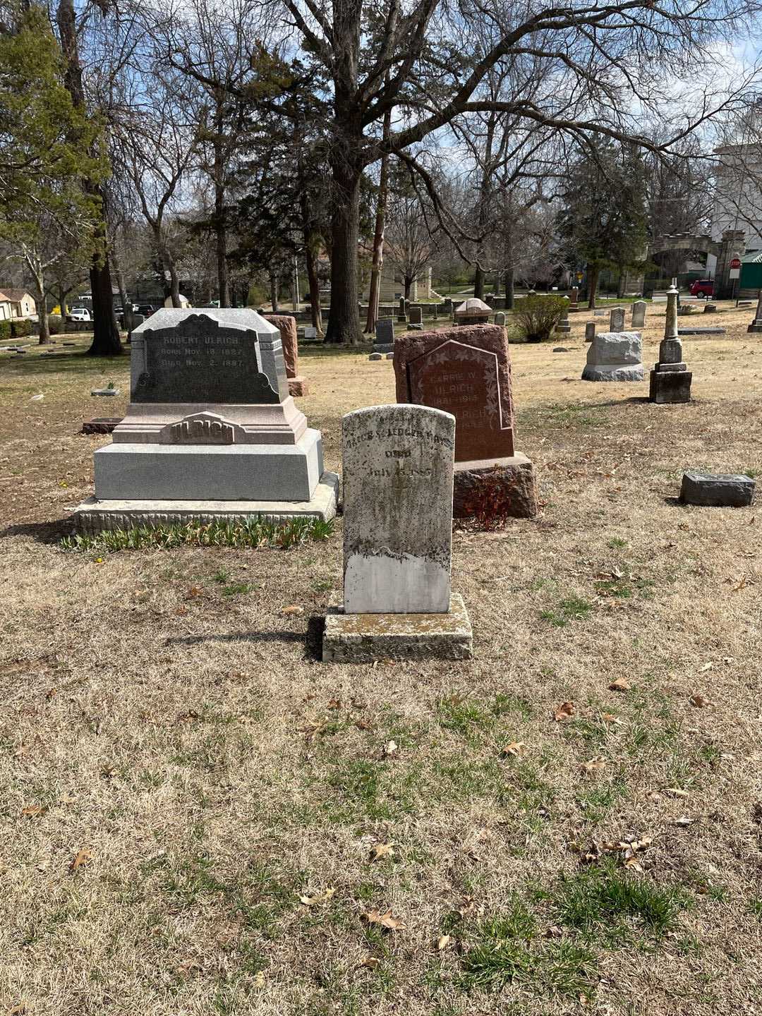 Alice St. Ledger Hays's grave. Photo 2