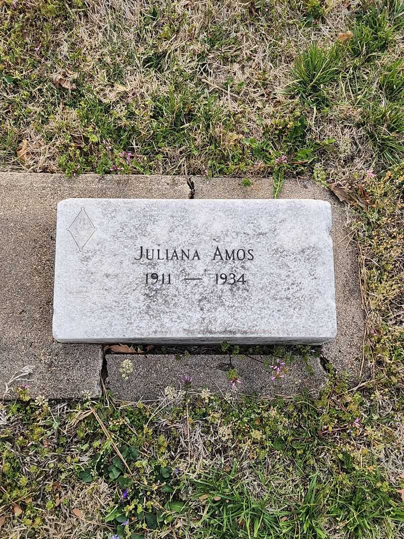 Anna L. O'Daniel Amos's grave. Photo 1