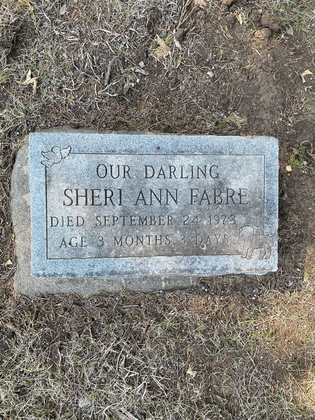 Sheri Ann Fabre's grave. Photo 1