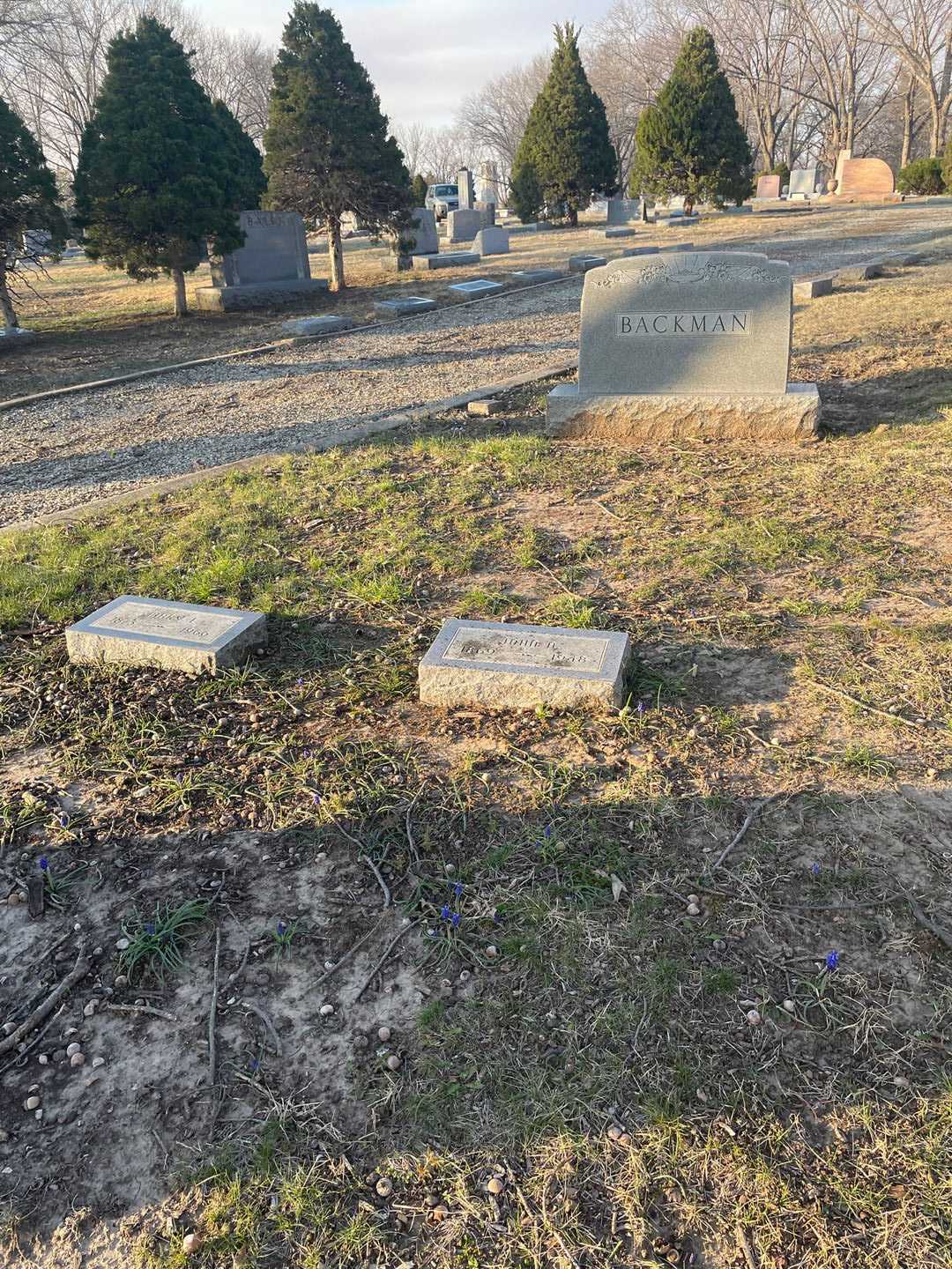 John A. Backman's grave. Photo 2