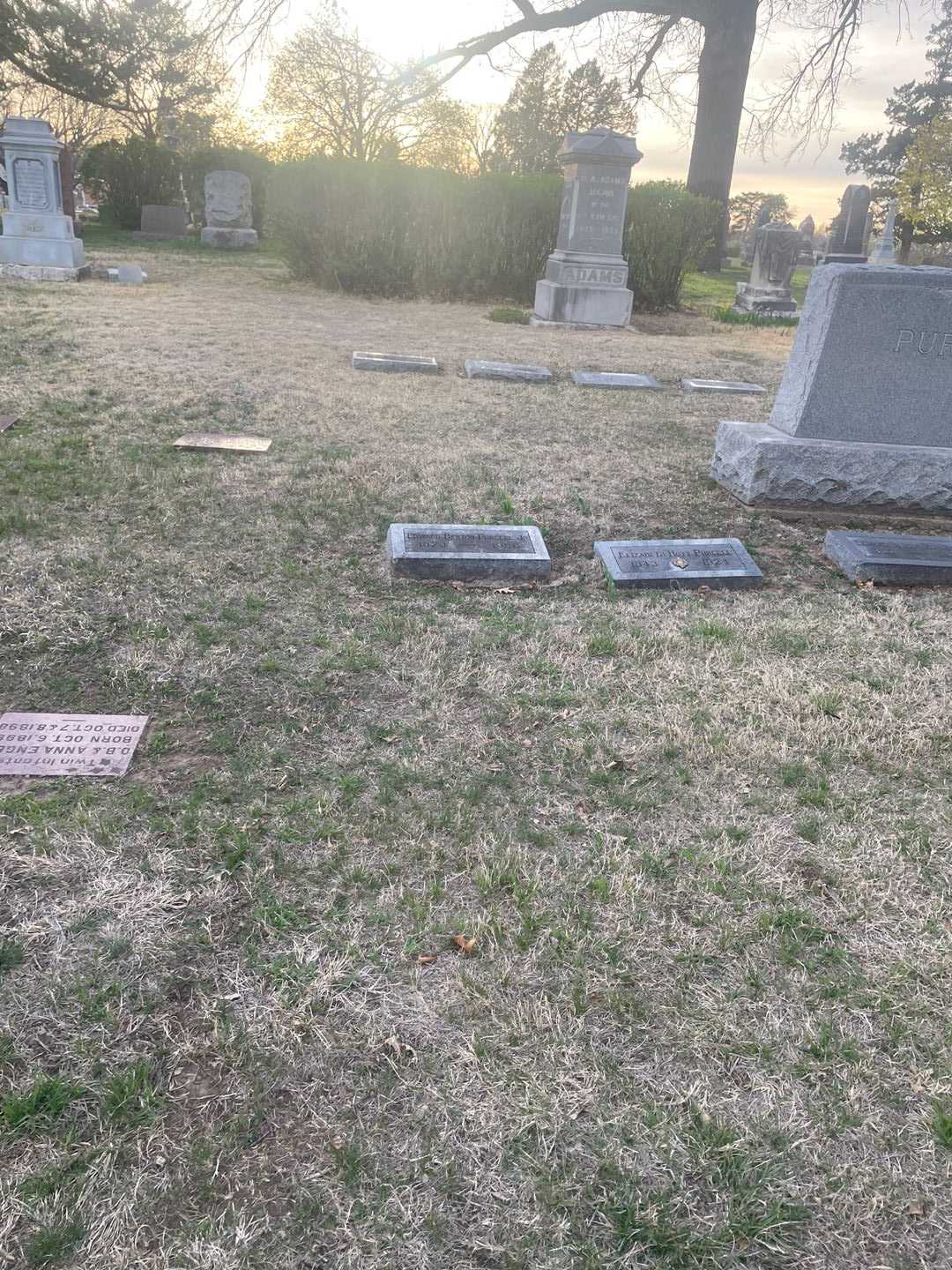 Edward Benton Purcell Junior's grave. Photo 2